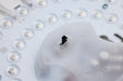 Myhouse Lighting Nuvo Lighting - 62-1692 - LED Flush Mount - Brushed Nickel