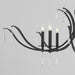 Myhouse Lighting Quorum - 620-8-59 - Eight Light Chandelier - Majesty - Matte Black