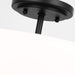 Myhouse Lighting Generation Lighting. - 7715202-112 - Two Light Semi-Flush Convertible Pendant - Kerrville - Midnight Black