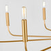Myhouse Lighting Visual Comfort Studio - EC1319BBS - Nine Light Chandelier - Brianna - Burnished Brass