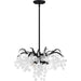 Myhouse Lighting Quoizel - MAP2820EK - Four Light Pendant - Maple - Earth Black