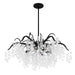 Myhouse Lighting Quoizel - MAP5028EK - Six Light Chandelier - Maple - Earth Black