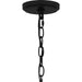 Myhouse Lighting Quoizel - MYL5027MBK - Ten Light Chandelier - Myla - Matte Black