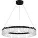 Myhouse Lighting Quoizel - PCACE2824MBK - LED Pendant - Alice - Matte Black