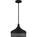 Myhouse Lighting Quoizel - QP6208MBK - One Light Pendant - Quoizel Pendant - Matte Black