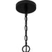 Myhouse Lighting Quoizel - QP6755MBK - Four Light Pendant - Quoizel Pendant - Matte Black