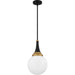 Myhouse Lighting Quoizel - QP6758MBK - One Light Pendant - Quoizel Pendant - Matte Black