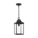 Myhouse Lighting Generation Lighting - GLO1041EN3/TXB - One Light Pendant - Saybrook - Textured Black
