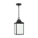 Myhouse Lighting Generation Lighting - GLO1041EN3/TXB - One Light Pendant - Saybrook - Textured Black