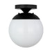 Myhouse Lighting Visual Comfort Studio - 7518EN3-112 - One Light Wall / Semi-Flush Mount - Leo - Hanging Globe - Midnight Black