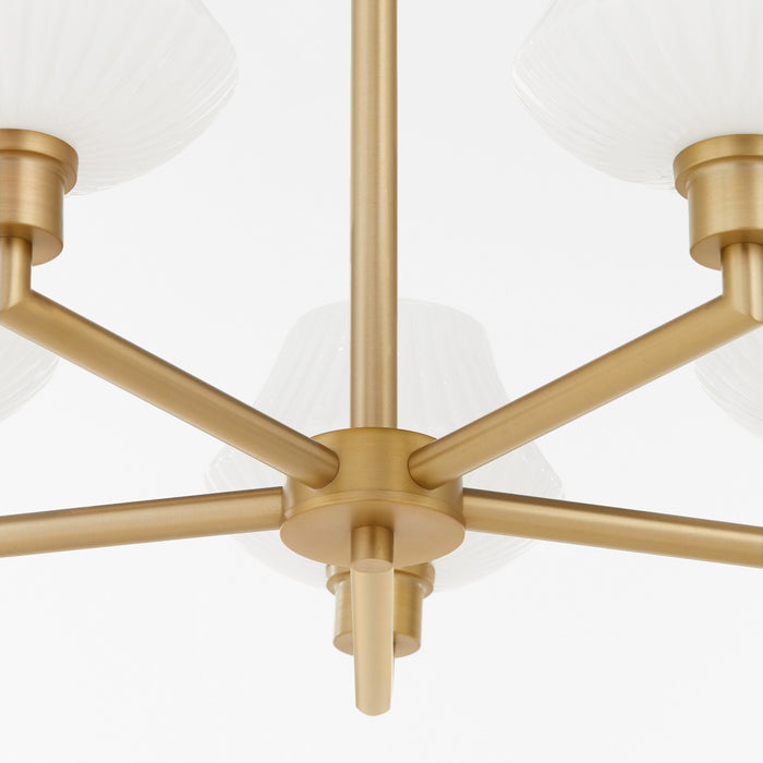 Myhouse Lighting Quorum - 6221-5-80 - Five Light Chandelier - Cassini - Aged Brass