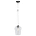 Myhouse Lighting Quorum - 3313-59 - One Light Pendant - Raymond - Matte Black