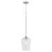 Myhouse Lighting Quorum - 3313-65 - One Light Pendant - Raymond - Satin Nickel