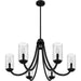 Myhouse Lighting Quoizel - ALD5032MBK - Six Light Chandelier - Allard - Matte Black