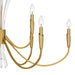 Myhouse Lighting Quoizel - CCY5040BRG - Nine Light Chandelier - Cecily - Brushed Gold