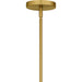 Myhouse Lighting Quoizel - CCY5040BRG - Nine Light Chandelier - Cecily - Brushed Gold