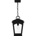 Myhouse Lighting Quoizel - HUK1910EK - One Light Outdoor Hanging Lantern - Huck - Earth Black