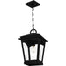 Myhouse Lighting Quoizel - HUK1910EK - One Light Outdoor Hanging Lantern - Huck - Earth Black