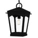 Myhouse Lighting Quoizel - HUK1910EK - One Light Outdoor Hanging Lantern - Huck - Earth Black