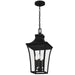 Myhouse Lighting Quoizel - QTN1910EK - Four Light Outdoor Hanging Lantern - Quentin - Earth Black
