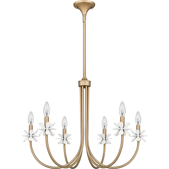 Myhouse Lighting Quoizel - REY5030BGD - Six Light Chandelier - Remy - Bronze Gold