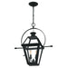 Myhouse Lighting Quoizel - RO1911EK - Two Light Outdoor Hanging Lantern - Rue De Royal - Earth Black