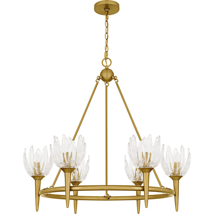 Myhouse Lighting Quoizel - SHA5032BRG - Six Light Chandelier - Shea - Brushed Gold