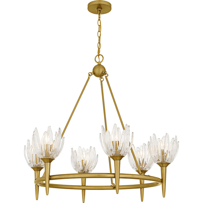 Myhouse Lighting Quoizel - SHA5032BRG - Six Light Chandelier - Shea - Brushed Gold