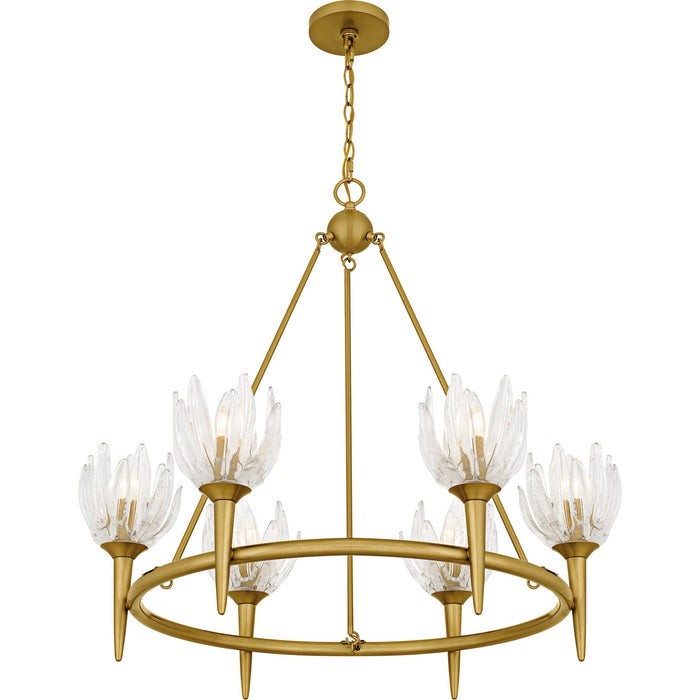 Myhouse Lighting Quoizel - SHA5032BRG - Six Light Chandelier - Shea - Brushed Gold