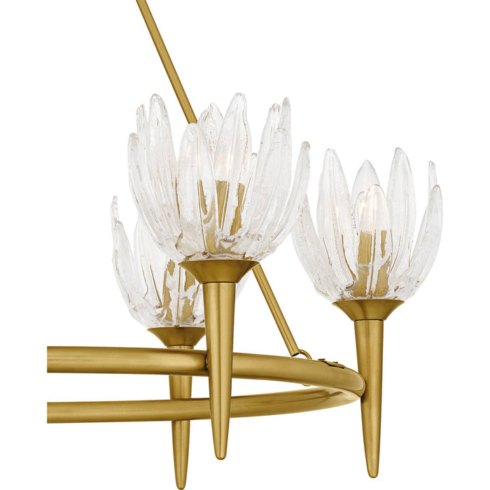 Myhouse Lighting Quoizel - SHA5032BRG - Six Light Chandelier - Shea - Brushed Gold