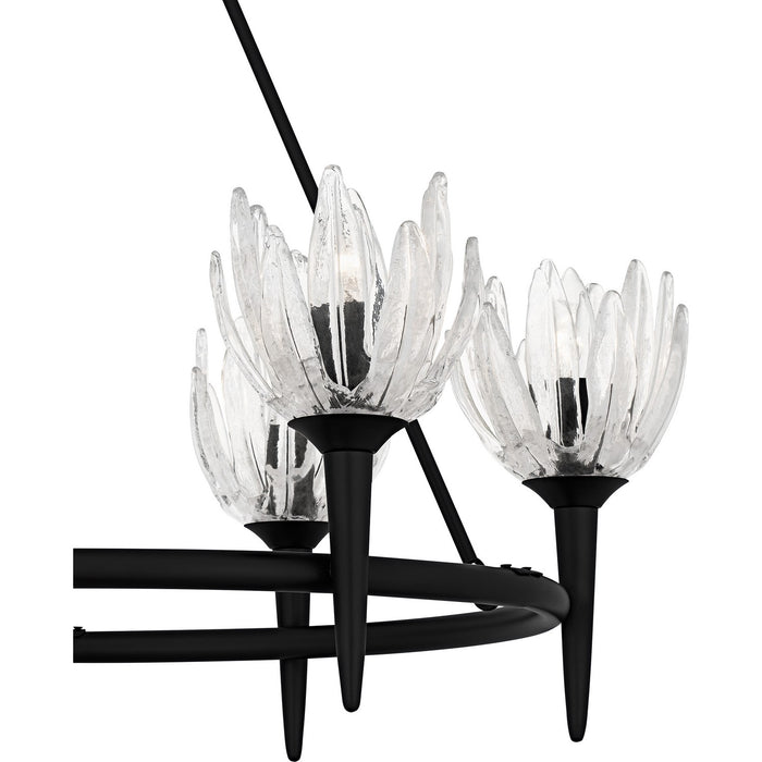 Myhouse Lighting Quoizel - SHA5032MBK - Six Light Chandelier - Shea - Matte Black