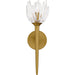 Myhouse Lighting Quoizel - SHA8806BRG - One Light Wall Sconce - Shea - Brushed Gold