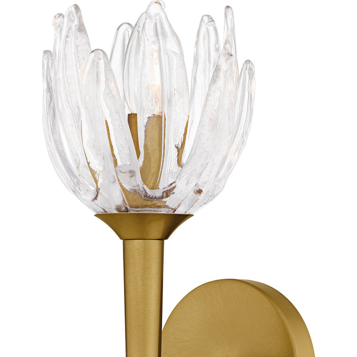 Myhouse Lighting Quoizel - SHA8806BRG - One Light Wall Sconce - Shea - Brushed Gold