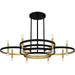 Myhouse Lighting Quoizel - WID5050MBK - Eight Light Chandelier - Winsland - Matte Black