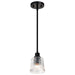Myhouse Lighting Nuvo Lighting - 60-8605 - One Light Mini Pendant - Grayson - Matte Black