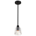 Myhouse Lighting Nuvo Lighting - 60-8605 - One Light Mini Pendant - Grayson - Matte Black