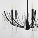 Myhouse Lighting Quorum - 673-5-59 - Five Light Chandelier - Eloise - Matte Black