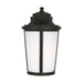 Myhouse Lighting Generation Lighting - GLO1151ANBZ - Lantern - Portola - Antique Bronze