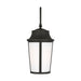 Myhouse Lighting Generation Lighting - GLO1171ANBZ - Lantern - Portola - Antique Bronze