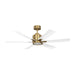 Myhouse Lighting Generation Lighting - 6FLSM52BBSD - 52"Ceiling Fan - Flera Smart 52 LED - Burnished Brass
