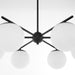 Myhouse Lighting Quorum - 639-6-59 - Six Light Chandelier - Jasper - Matte Black