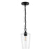 Myhouse Lighting Progress Lighting - P500506-031 - One Light Pendant - Celino - Black