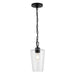 Myhouse Lighting Progress Lighting - P500506-031 - One Light Pendant - Celino - Black