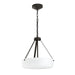 Myhouse Lighting Progress Lighting - P500507-020 - Two Light Convertible Pendant - Lieon - Antique Bronze
