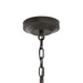 Myhouse Lighting Progress Lighting - P500507-020 - Two Light Convertible Pendant - Lieon - Antique Bronze
