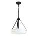 Myhouse Lighting Progress Lighting - P500507-031 - Two Light Convertible Pendant - Lieon - Black