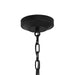 Myhouse Lighting Progress Lighting - P500507-031 - Two Light Convertible Pendant - Lieon - Black