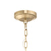 Myhouse Lighting Progress Lighting - P500508-177 - Three Light Convertible Pendant - Lieon - Champagne Bronze