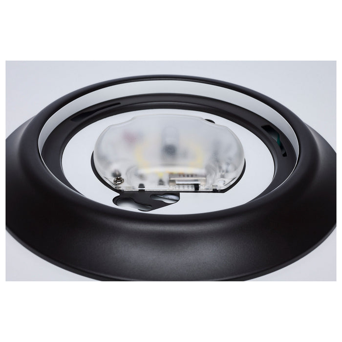 Myhouse Lighting Nuvo Lighting - 62-1803R1 - LED Disk Light - Bronze