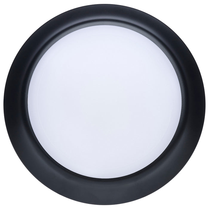 Myhouse Lighting Nuvo Lighting - 62-1804R1 - LED Disk Light - Black